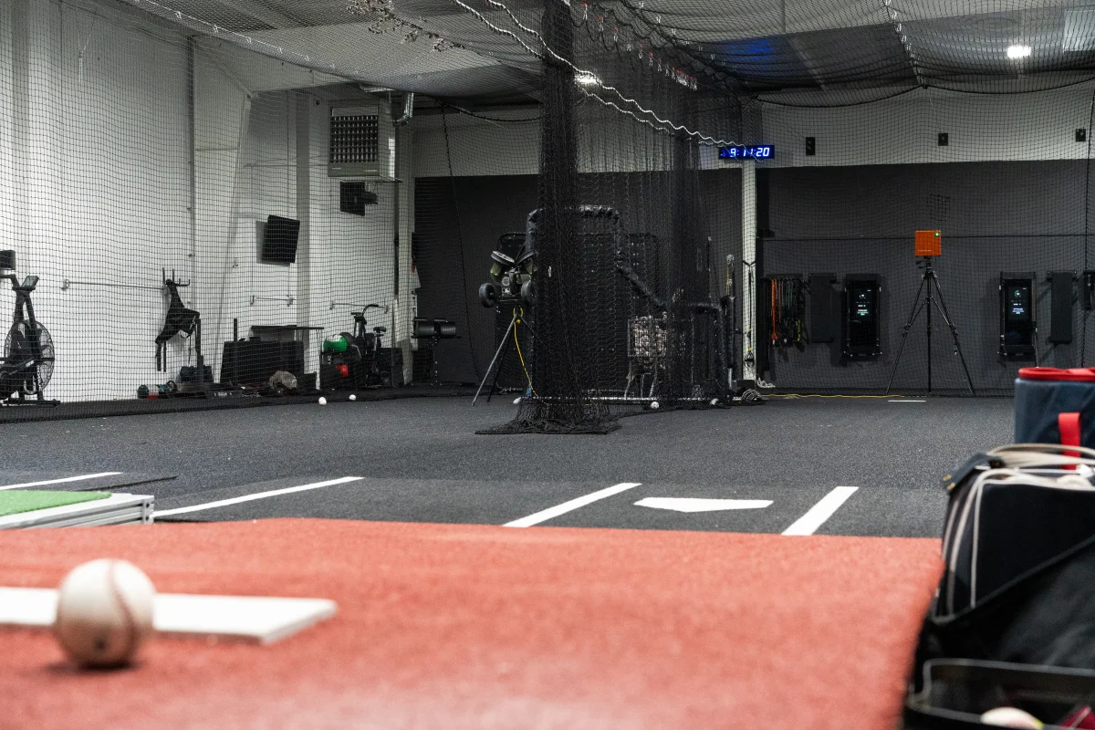 Turf area.